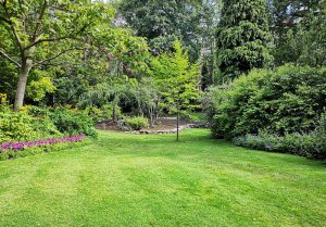 Optimiser l'expérience du jardin à Saint-Euphraise-et-Clairizet